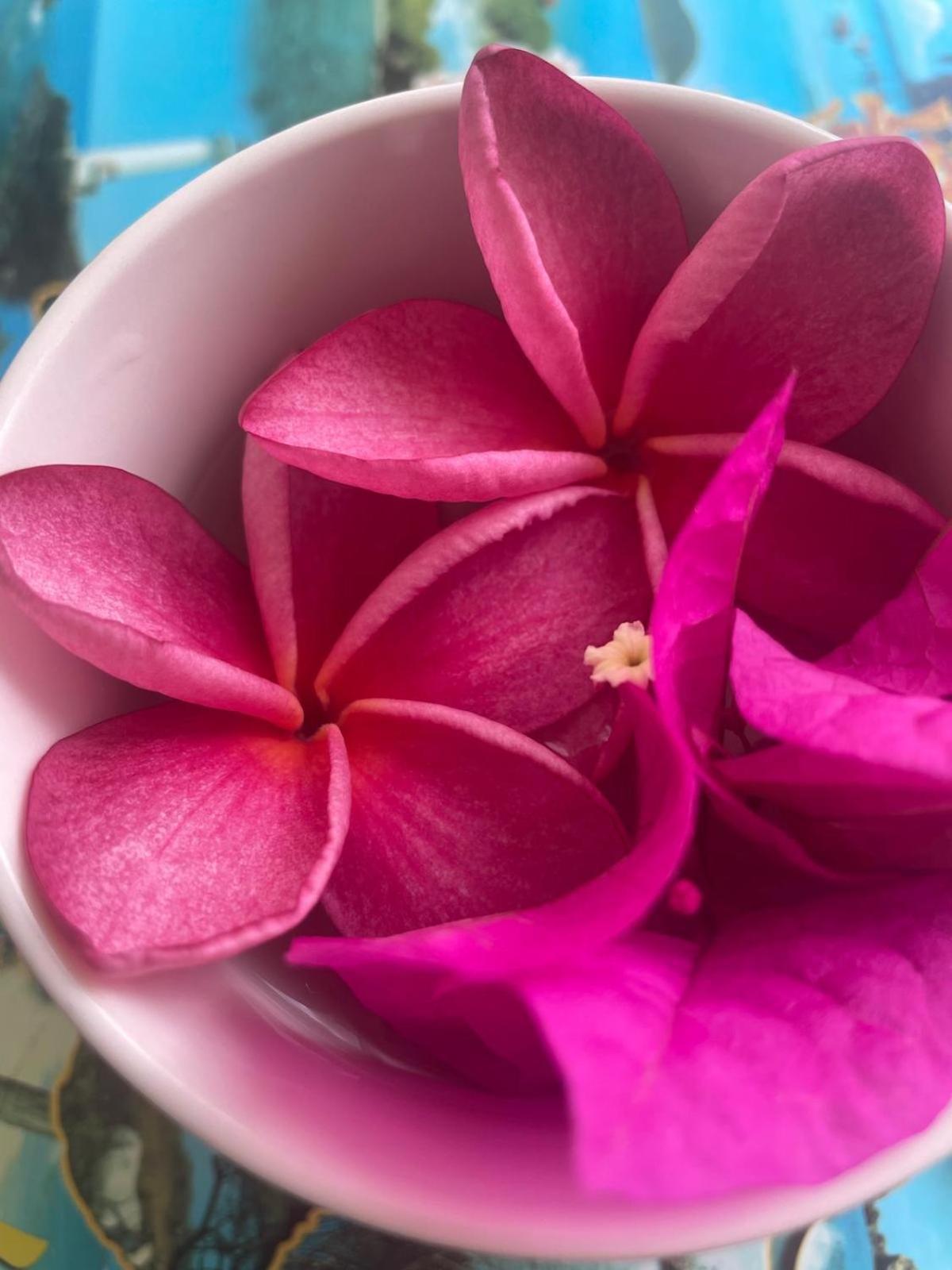 Studio Hibiscus Anse Des Rochers Saint Francois Екстериор снимка